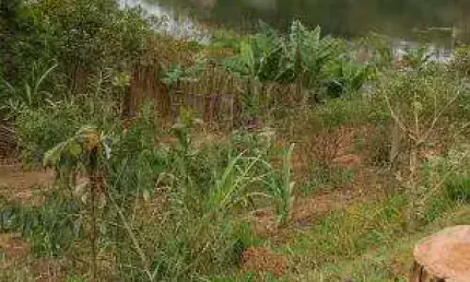 Chácara / sítio com 3 quartos à venda no Bairro da Lagoa, Paraibuna , 2000 m2 por R$ 200.000