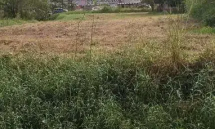 Terreno à venda no balneário califórnia, caraguatatuba , 394 m2 por r$ 150.000