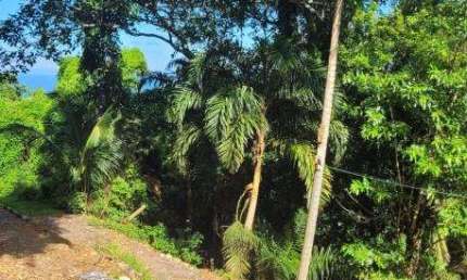 Terreno à venda no Feiticeira, Ilhabela , 633 m2 por R$ 499.000