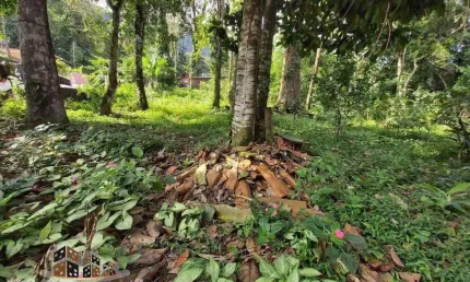 Terreno à venda no maresias, são sebastião , 1300 m2 por r$ 350.000