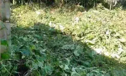 Terreno à venda no Jardim Rio Claro, Caraguatatuba  por R$ 110.000