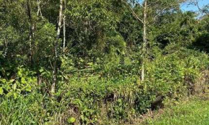 Terreno à venda na Barra do Una, São Sebastião , 3000 m2 por R$ 780.000