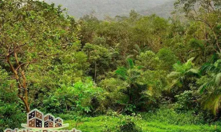 Terreno à venda na barra do una, são sebastião , 3000 m2 por r$ 580.000