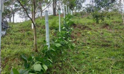 Terreno à venda no Pegorelli, Caraguatatuba , 2000 m2 por R$ 120.000
