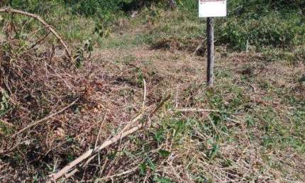 Terreno à venda no Balneário dos Golfinhos, Caraguatatuba , 294 m2 por R$ 95.000