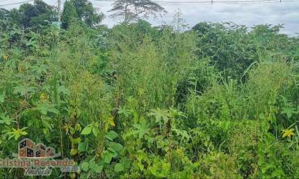 Terreno à venda no Balneário dos Golfinhos, Caraguatatuba , 257 m2 por R$ 110.000
