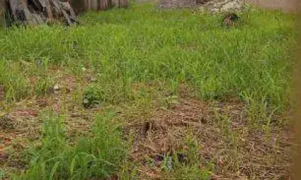 Terreno à venda no Morro do Algodão, Caraguatatuba , 170 m2 por R$ 90.000