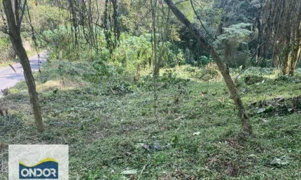 Terreno à venda, 1650 m² por R$ 858.000,00 - Granja Viana - Cotia/SP