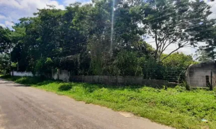 Chácara 3.000mts com casa velha - zona leste - abaixo do valor