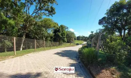 Chácara / sítio com 1 quarto à venda na Rodovia BR-277, 20875, Borda do Campo, São José dos Pinhais