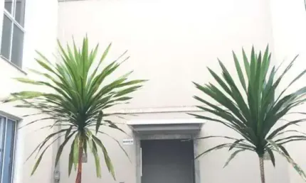 Apartamentos para venda em sorocaba no bairro caguaçu