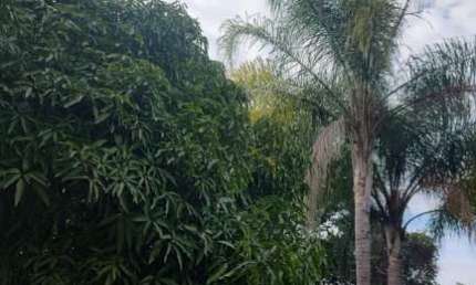 Chácaras para venda em Ipero no bairro Não Especificado