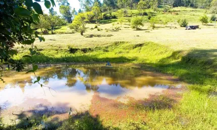 Chácara / sítio à venda na Paciência, Paciência, Itajaí