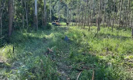 Chácara / sítio à venda na Estrada Geral Do Rio Do Meio, Rio do Meio, Itajaí