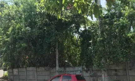 Terreno à venda na Rua Bicuíba, 525, Patamares, Salvador