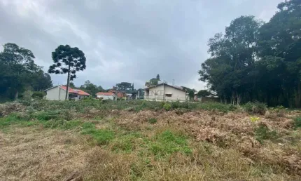 Terreno à venda na Rua Plauto de Abreu, Santo Antão, Bento Gonçalves