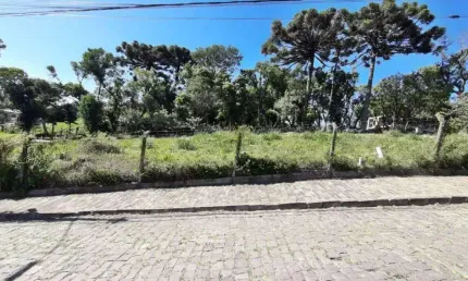 Terreno à venda na Rua Ernesto Alves, Juventude, Garibaldi