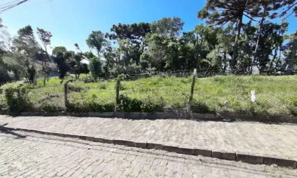 Terreno à venda na Rua Ernesto Alves, Juventude, Garibaldi