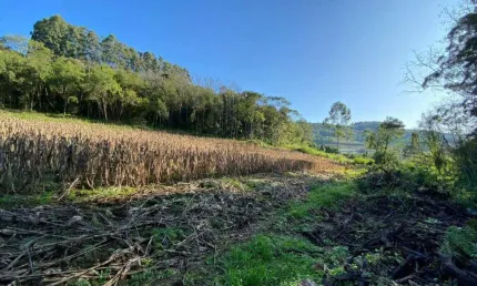 Sítio à venda, 2 quartos, São Roque de Castro - Boa Vista do Sul/RS