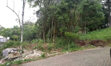 Terreno à venda na Rua Alameda Das Araucárias, 12, Borgo, Bento Gonçalves