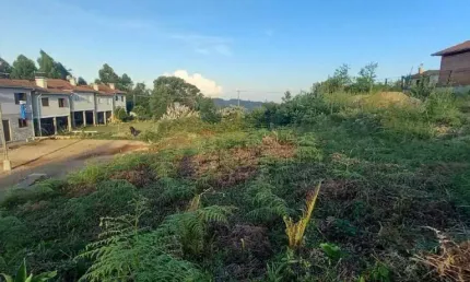 Terreno à venda na Interior, 03, Zona Rural, Barão