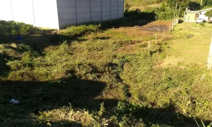 Terreno à venda na Rodovia Rst 470, 470, Centro, Barão