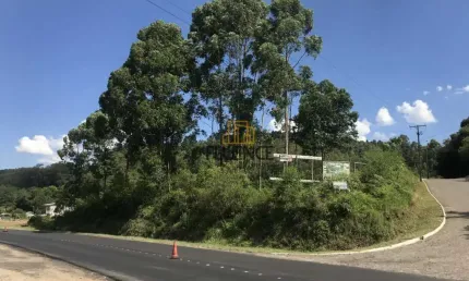 Terreno à venda na Rodovia Br 470, Operário, Barão