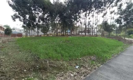 Terreno à venda, universitário - bento gonçalves/rs