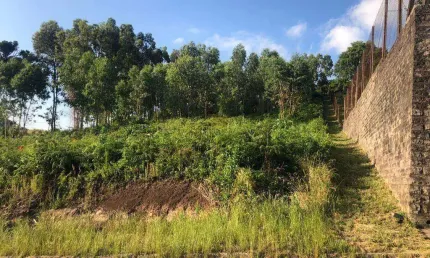 Terreno à venda na Rua 13 De Maio, s/n, Chácaras, Garibaldi