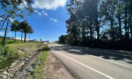 Área Comercial à venda, Linha São Roque Figueira de Melo - Garibaldi/RS