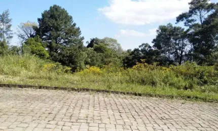 Terreno à venda na Rua Projetada A, 17, Borghetto, Garibaldi