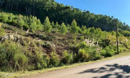 Terreno à venda na Linha Wilmsen, Zona Rural, Barão