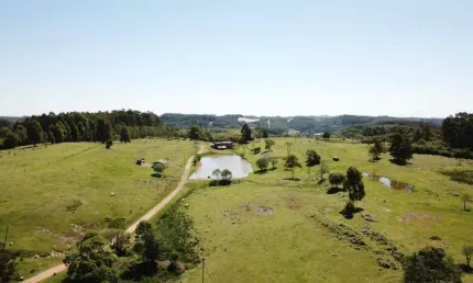 Chácara / sítio à venda na Linha Peasi, Nova Sardenha (Distrito), Farroupilha