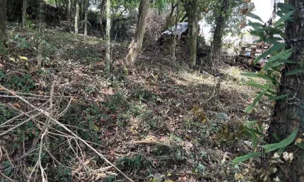Terreno à venda na Rua Frei Miguel, 01, São Francisco, Garibaldi