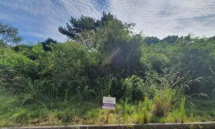 Lindo terreno no santo antão lote 135 loteamento reserva das araucárias