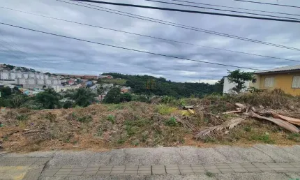 Terreno à venda na Rua Ângelo Marcon, São Roque, Bento Gonçalves