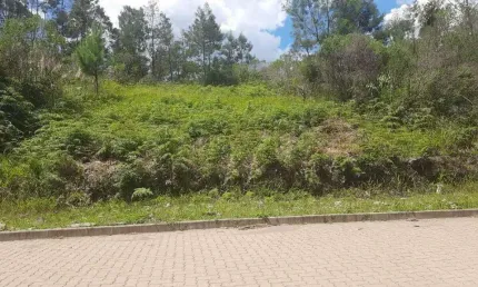 Terreno à venda na Rua Anésio Edwino Piccinini, 100, Alfândega, Garibaldi