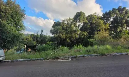 Terreno à venda na Rua Das Cerejeiras, 8, Centro, Barão