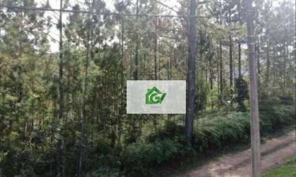Área à venda, 2500 m² por R$ 1.590.000,00 - Jardim Capricórnio - Caraguatatuba/SP