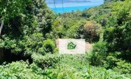 Terreno à venda, 983 m² por R$ 900.000,00 - Siriúba - Ilhabela/SP