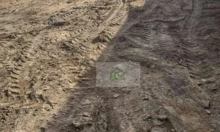 Terreno para alugar, 900 m² por R$ 3.000,00/mês - Praia das Palmeiras - Caraguatatuba/SP