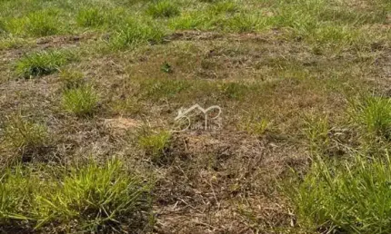 Terreno 326m2 à venda no Condomínio Clube Casa do Lago Indaiatuba