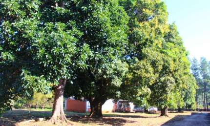 Terreno comercial à venda no Sousas, Campinas  por R$ 5.450.000