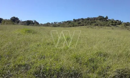 Chácara / sítio com 1 quarto à venda na Estrada Pedreira Km 8, km 7, Sousas, Campinas, 27151 m2 por R$ 1.590.000