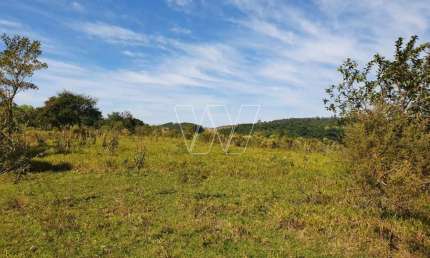 Chácara / sítio com 1 quarto à venda na Estrada Pedreira Km 8, km 7, Sousas, Campinas, 21500 m2 por R$ 800.000