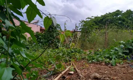 Terreno comercial à venda no sousas, campinas  por r$ 550.000