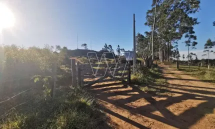 Fazenda à venda no Joaquim Egídio, Campinas , 112 m2 por R$ 2.900.000