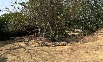 Terreno em condomínio fechado à venda na rua san conrado, s/n, loteamento caminhos de san conrado (sousas), campinas por r$ 490.000