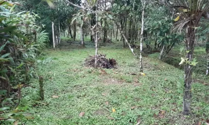 Casa no Guaraú com  dois dormitórios 1760 metros quadrados