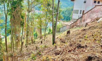 Terreno à venda, 585 m² por R$ 265.000,00 - Quinta da Barra - Teresópolis/RJ